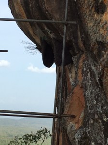Sigiriya Bee Hives