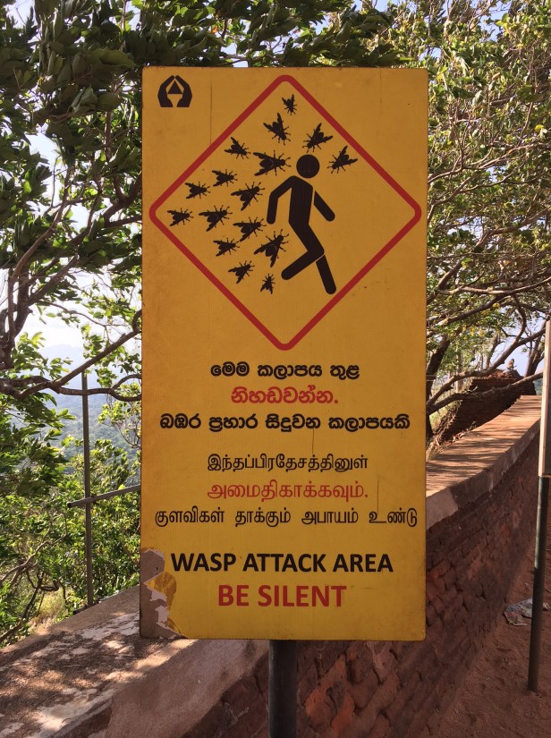 Sigiriya Wasp Attack Sign